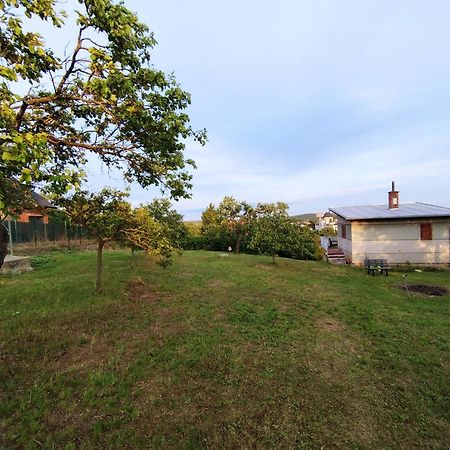 Wine House Znojmo 빌라 외부 사진