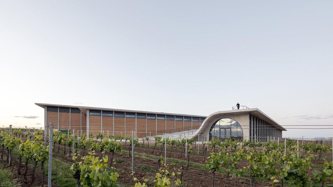 Wine House Znojmo 빌라 외부 사진